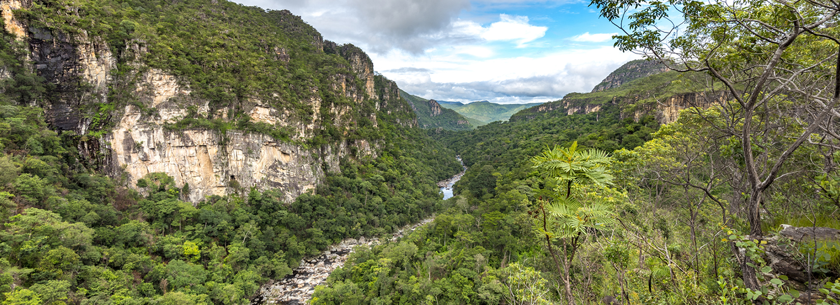 Cavalcante