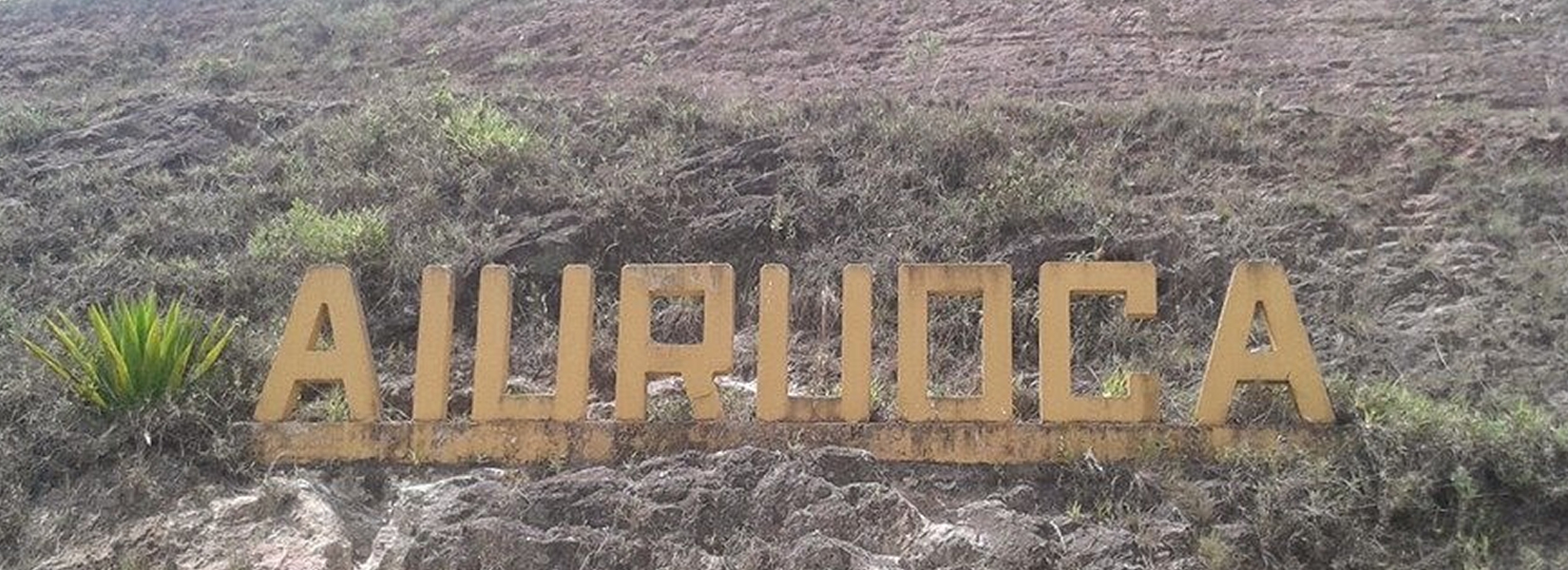 Aiuruoca