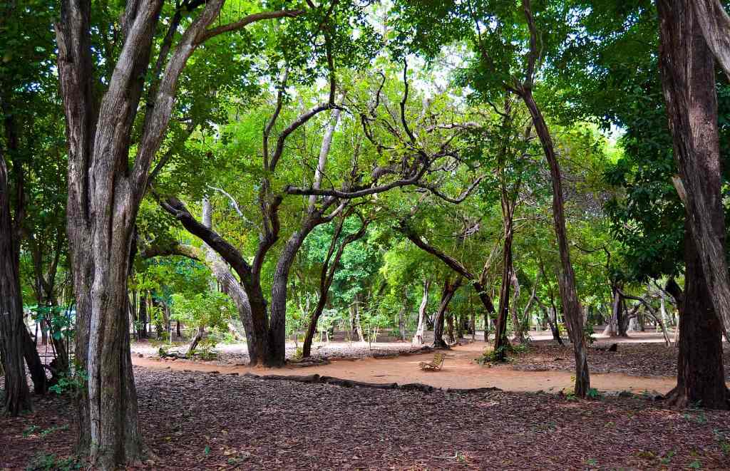 Foto de Parque das Dunas em Natal