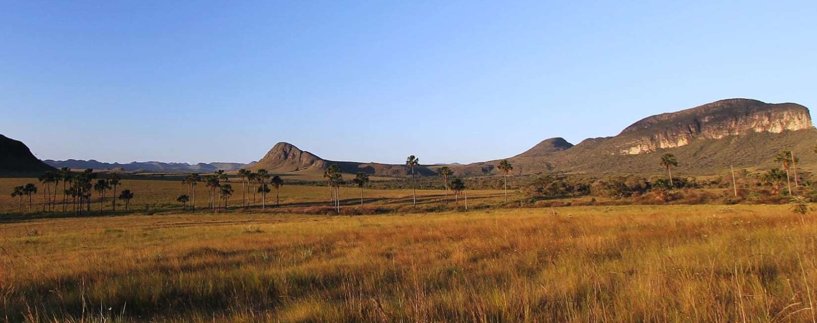 Chapada dos Veadeiros